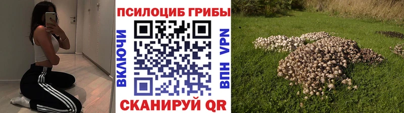 Галлюциногенные грибы ЛСД  Покровск 